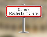 Loi Carrez à Roche la Molière