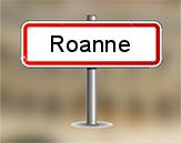 Diagnostiqueur Roanne
