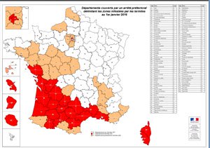 Carte infestation termites LOIRE